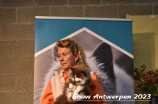 Schow Antwerpen 2023 393