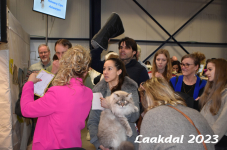 Laakdal 2023 390