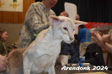 Arendonk 2024 362