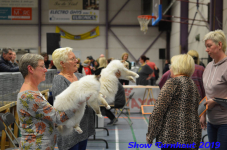 turnhout 2019-0443