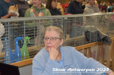 Schow Antwerpen 2023 387
