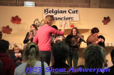 antwerpen 2012 252