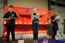 turnhout 2019-0214