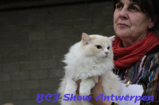 antwerpen 2012 214