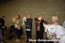 Antwerp 2022244