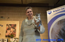 Antwerpen 2019DSC 0200