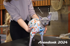 Arendonk 2024 129