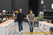 Antwerpen 080