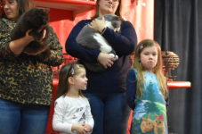 Katttenshow Arendonk 2020 DSC 0542