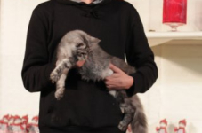 antw 2015 290
