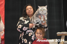 Arendonk 2024 482