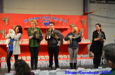 turnhout 2019-0379