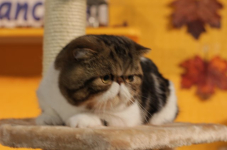 img 2545
