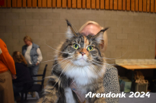 Arendonk 2024 363
