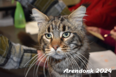 Arendonk 2024 290