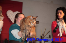 bcf antw 2010 259