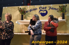 Antwerpen 270