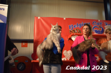 Laakdal 2023 375