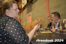 Arendonk 2024 429
