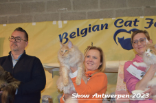Schow Antwerpen 2023 408