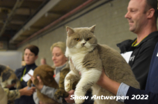 Antwerp 2022309
