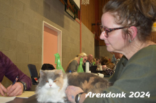 Arendonk 2024 382