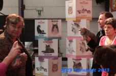 turnhout 2013 img 0243