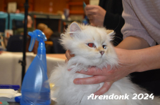 Arendonk 2024 055