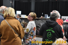 Antwerpen 242