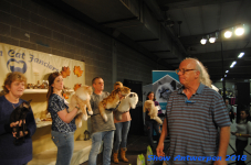 antwerp 2018 0382