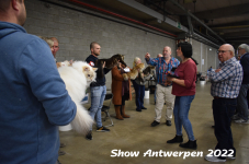 Antwerp 2022155