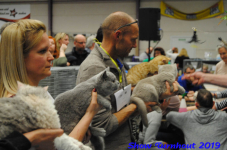 turnhout 2019-0195