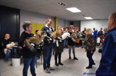 Katttenshow Arendonk 2020 DSC 0499