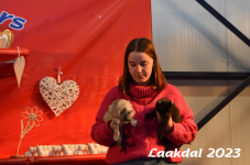 Laakdal 2023 241