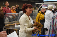 Antwerpen 2019DSC 0330
