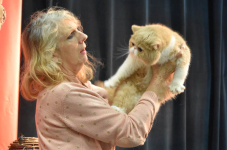 Katttenshow Arendonk 2020 DSC 0592