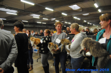 antwerp 2018 0220