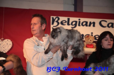 bcf antw 2010 253