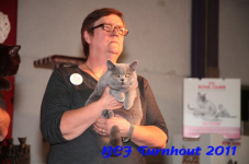 bcf antw 2010 243