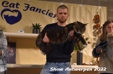 Antwerp 2022372