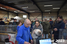 Laakdal 2023 337