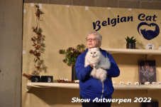 Antwerp 2022221