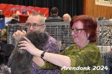 Arendonk 2024 400