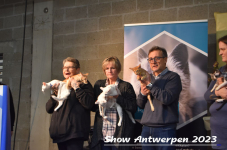 Schow Antwerpen 2023 226