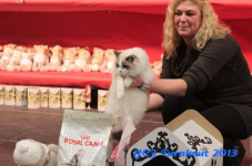 turnhout 2013 img 0198