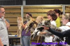 arendonk 2012 257