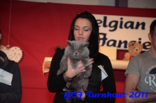 bcf antw 2010 239