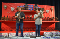 Katttenshow Arendonk 2020 DSC 0336