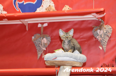 Arendonk 2024 564