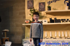 Antwerpen 2019DSC 0218